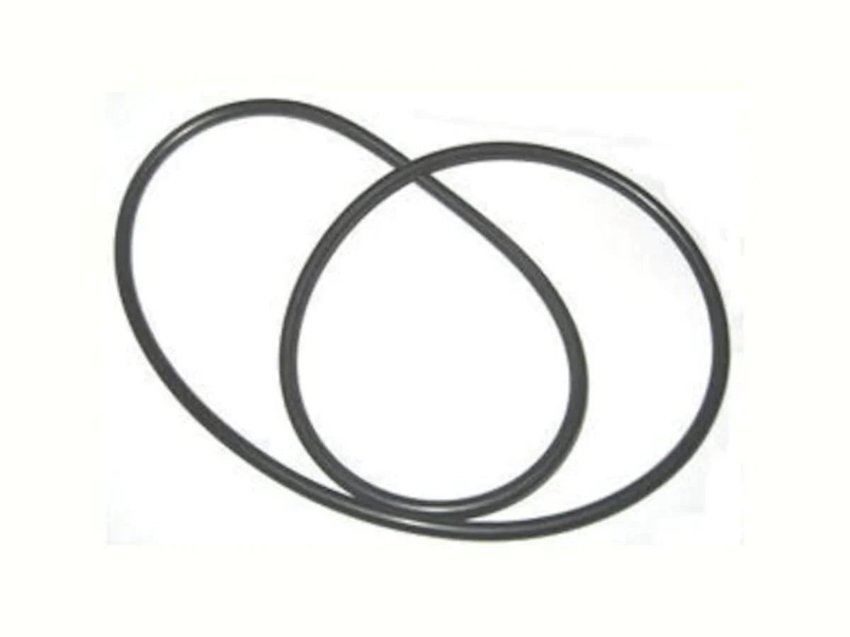 画像 Astral ZX Cartridge Filter Lid O Ring Part# 78110 - Best Price and